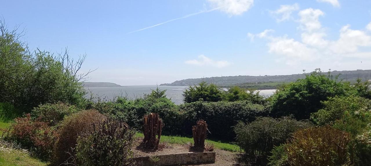 Ardsallagh Lodge ヨール エクステリア 写真